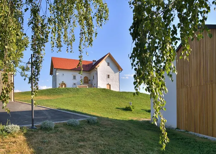 Hisa 1624 - Adults Only Nočitev z zajtrkom Zgornja Kungota