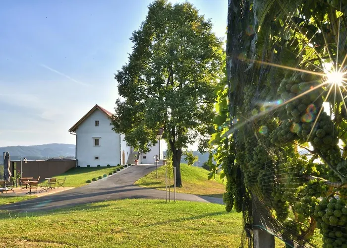 Hisa 1624 - Adults Only